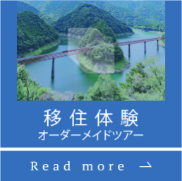 移住住宅（オーダーメイド住宅）