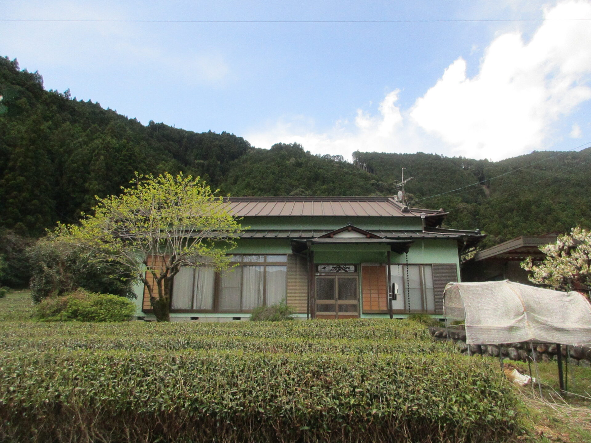 【元藤川地区】茶畑に囲まれた平屋