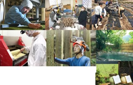 マルチワークという新しい働き方。「かわねほんちょう水と森の里協同組合」では、一緒に働く仲間を募集中です！